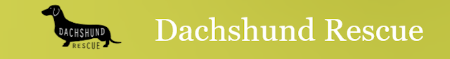 Dachshund Rescue Logo